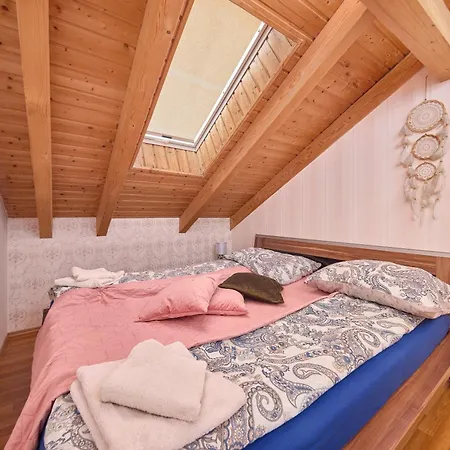 Design * 布拉迪斯拉发